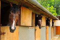 free Huxham stable construction quotes